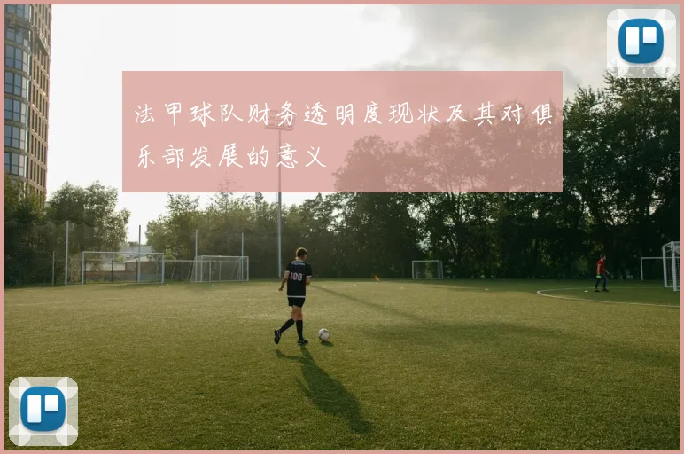法甲球队财务透明度现状及其对俱乐部发展的意义