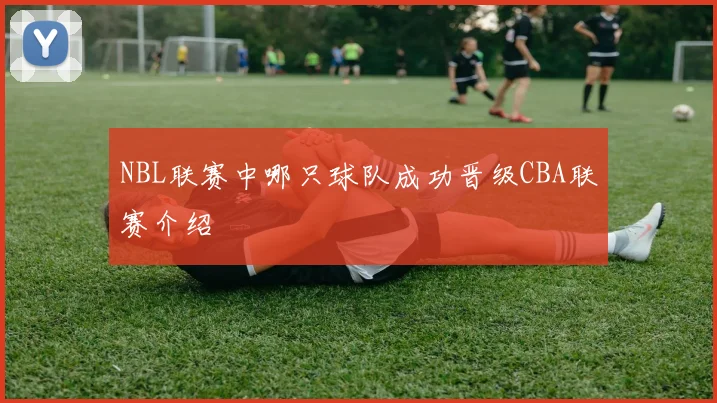 NBL联赛中哪只球队成功晋级CBA联赛介绍