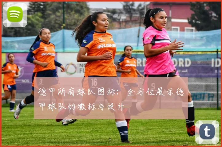 德甲所有球队图标：全方位展示德甲球队的徽标与设计