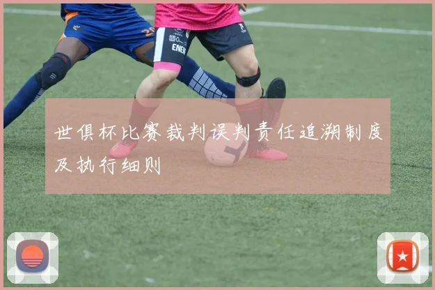 世俱杯比赛裁判误判责任追溯制度及执行细则